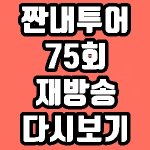 짠내투어 도쿄 붐 정혜성 황제성 75회 재방송 다시보기 방송시간 편성표