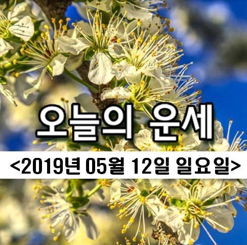  오늘의 운세! 오늘의 띠별운세![2019년 5월 12일]
