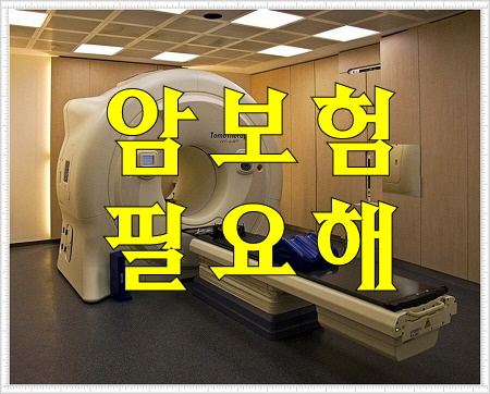  암보험비 &가입요령~