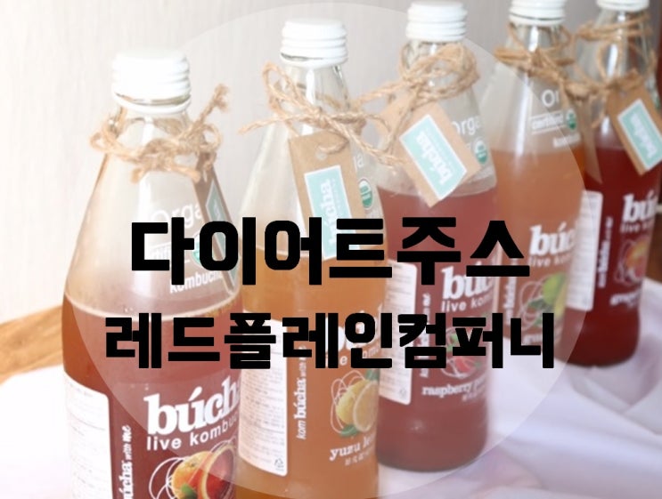  다이어트주스 추천 포만감도 있고 새콤달콤 너무 맛있어