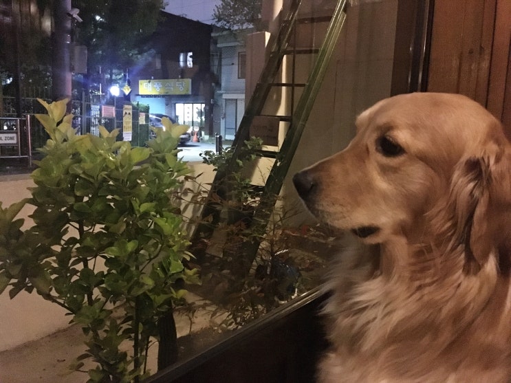  삼덕동 카페, 아늑한 휴식처 이에 커피