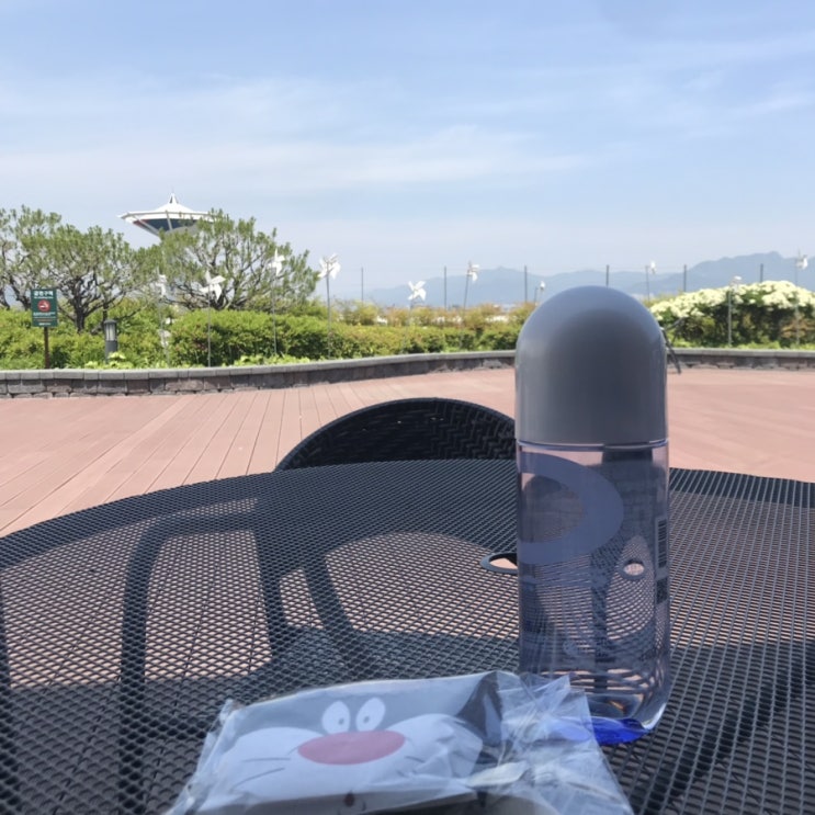  [‘19 May 3weeks]