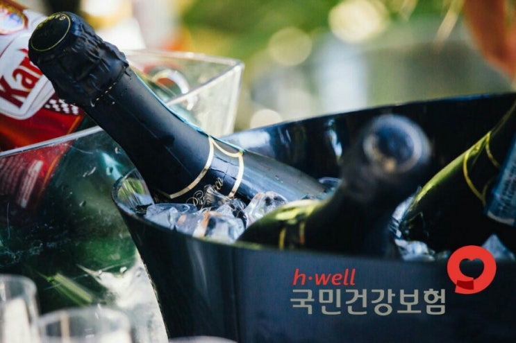  입주요양보호사 입주요양 이용방법 [입주간병인 안내]