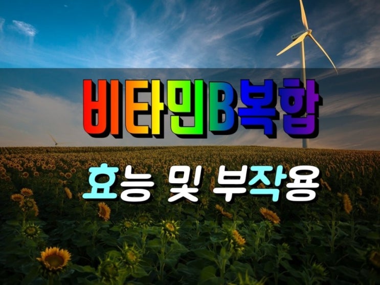  비타민B 컴플렉스 효능 및 부작용 권장섭취량