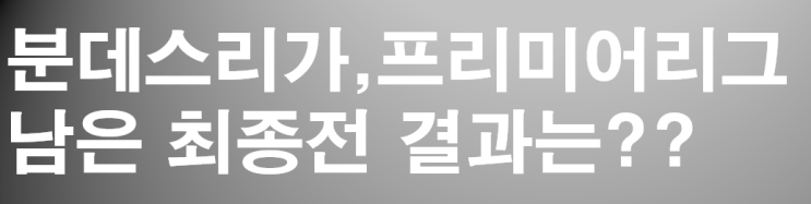  2018-2019분데스리가 프리미어리그 최종전