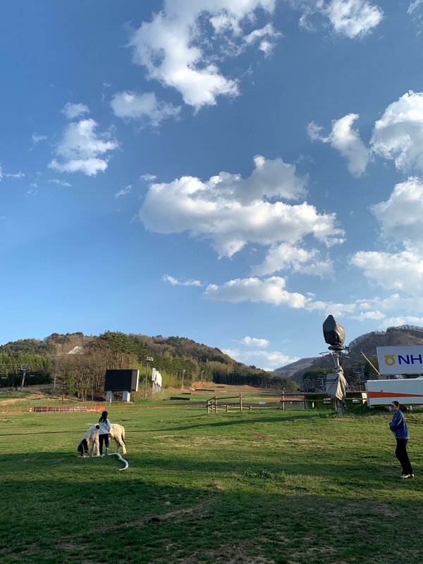  [강원] 평창 용평리조트 빌라콘도, 강릉 장안회집 물회, 사천해변, 강릉 툇마루커피