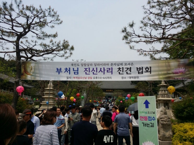  [불기 2563년 부처님 오신 날] 석가모니 진신 사리 친견!!!