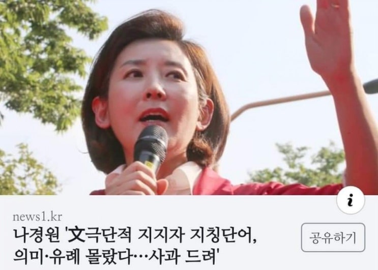 나경원 '달창' 발언