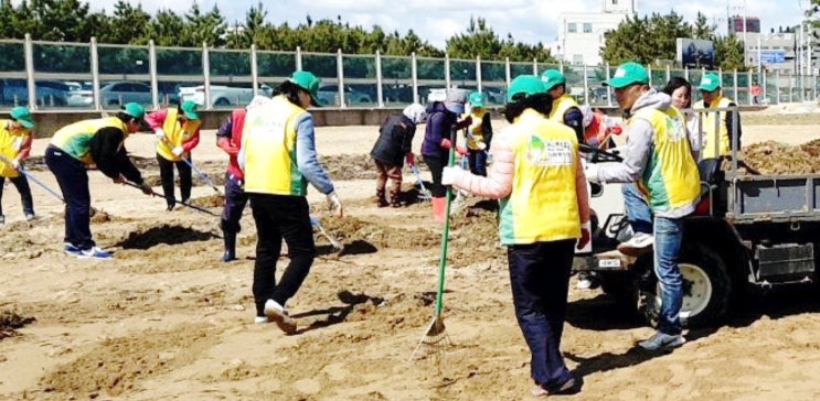  포항 신천지, 열일대 해수욕장 환경정화활동 눈길 끌어