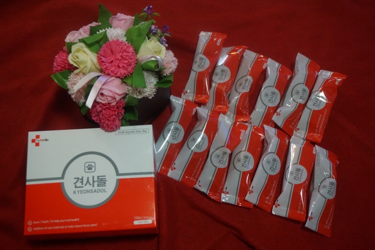  강아지치석제거 ) 디펫바이오 견사돌