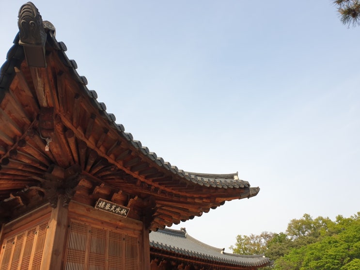  [종로] 경복궁은 내국인을 우대해 주었다.