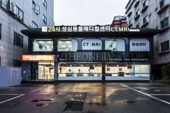  고양이전염성복막염 치료제/FIP 치료/고양이전염성복막염진단/대전고양이FIP치료 [대전 24시 성심 동물 메디컬 센터]