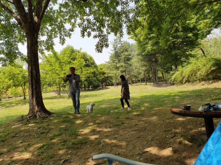  [34주] 일상 & 출산준비교실