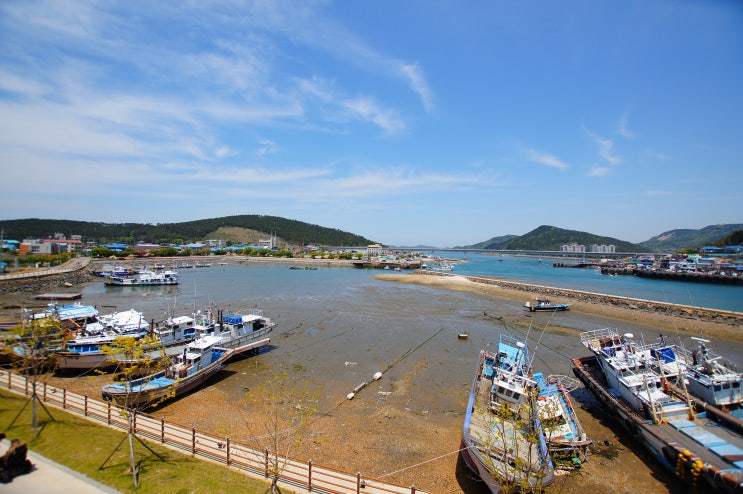  충남 태안 아이들과 가볼만한 곳!~국립태안 해양유물전시관, 나래교, 신진도~
