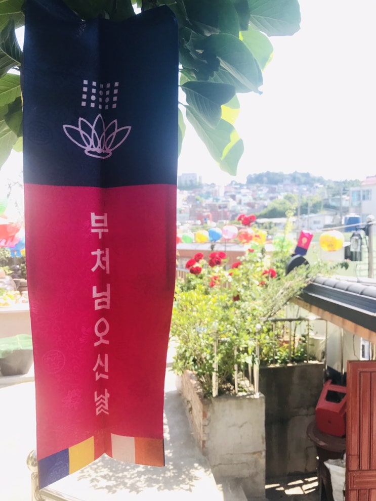  범일동 “백일사” 다녀왔어요 -story duck