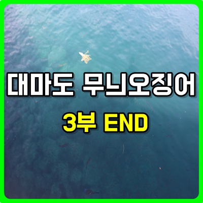  대마도 무늬오징어 3부 마지막