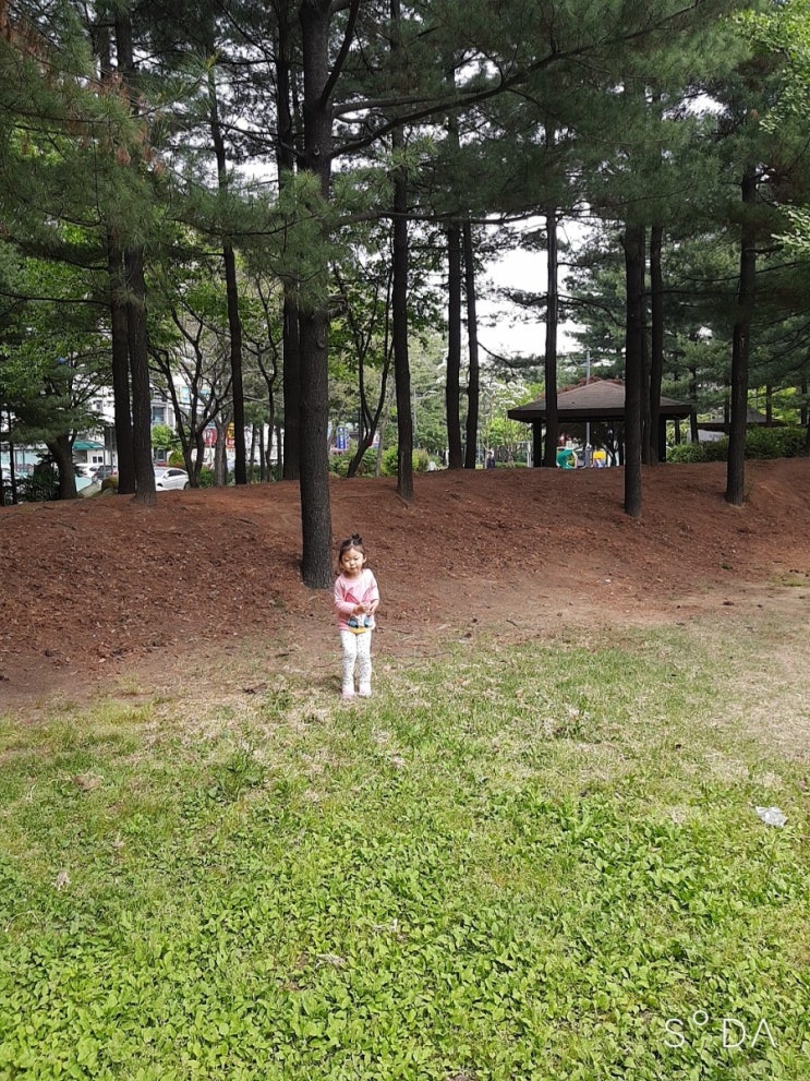  생후1033일/놀이터