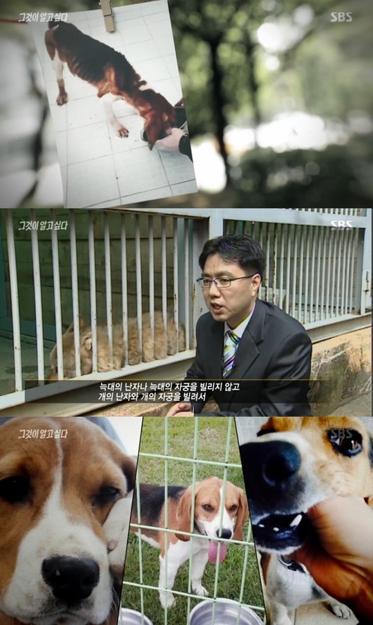  복제견 메이죽음 이병천교수 동물복제 지원금에 희생되는 동물 그것이 알고싶다1168회