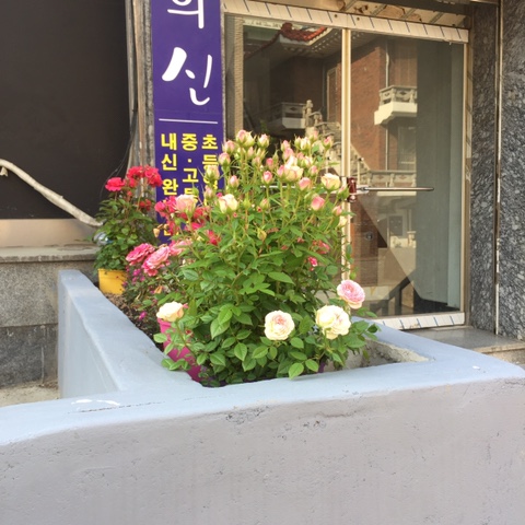  2019년 5월 12일