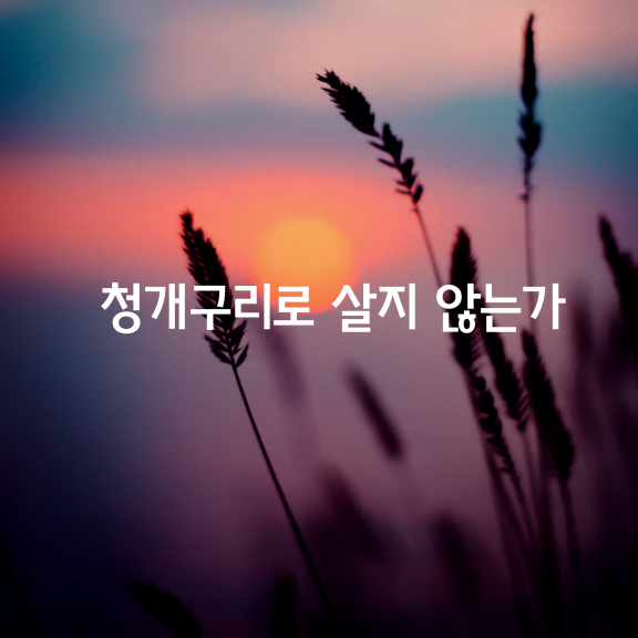  여러분들은 청개구리로 살고 있지는 않습니까