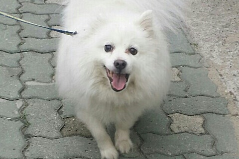 김영옥미용실 이미지