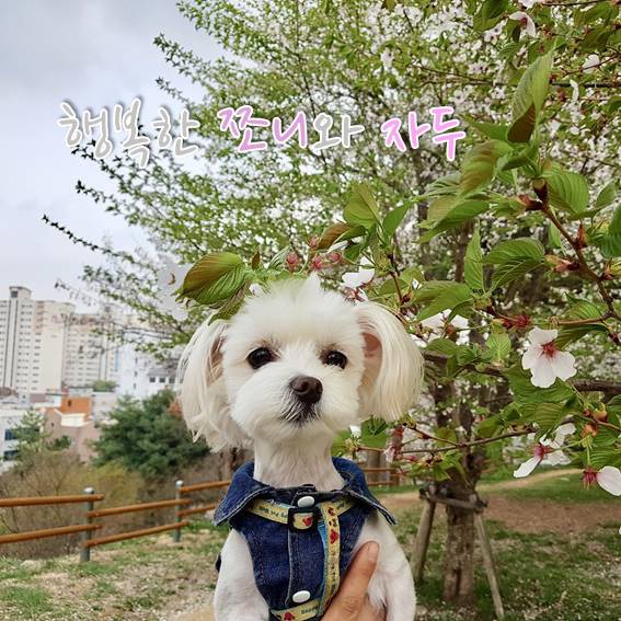  블로그 제목을 바꿨어요!