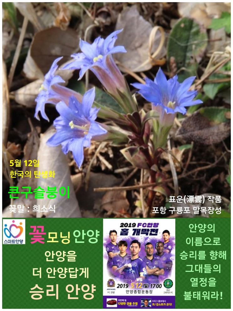  5월 12일. 한국의 탄생화와 부부 사랑 / 구슬붕이, 큰구슬붕이