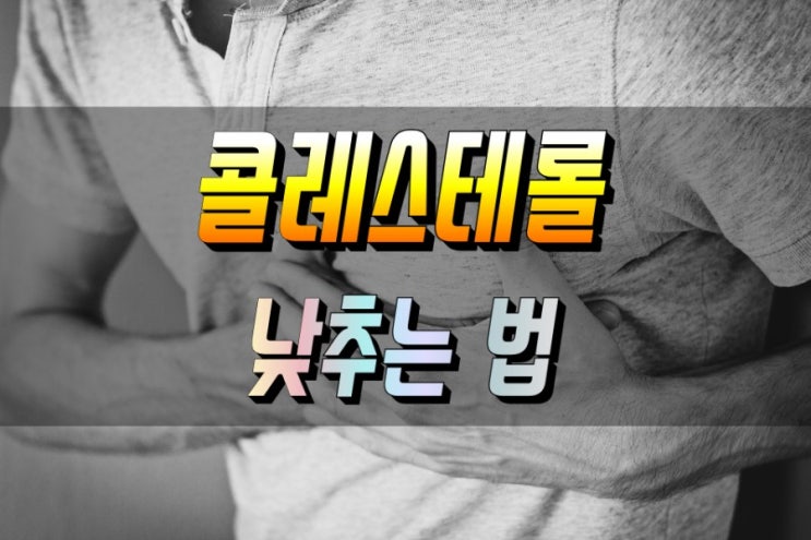  콜레스테롤 중성지방 차이 및 효과적으로 수치 낮추는 법 심층분석