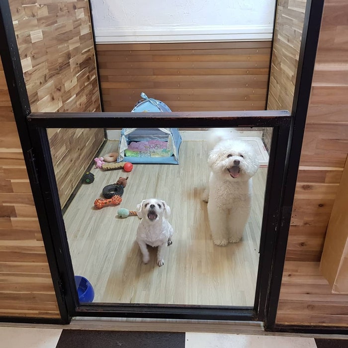 사진 3