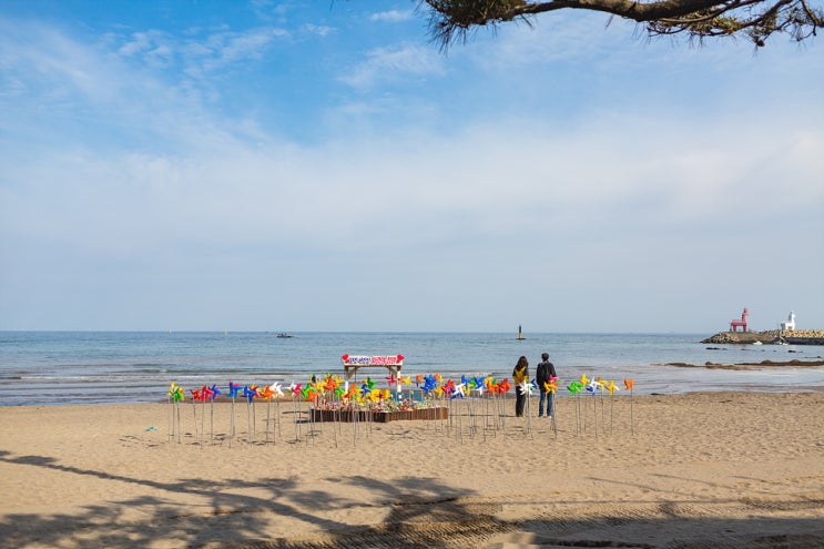  제주 이호테우해변 어슬렁어슬렁