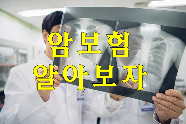  암보험비교 알아둡시다
