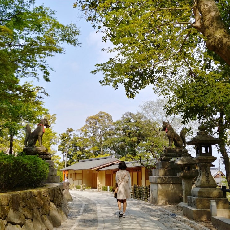  일본 오사카 2박3일자유여행 일정 2일차 : 후시미이나리-아라시야마-금각사-은각사-청수사(feat.교토버스 1일투어)