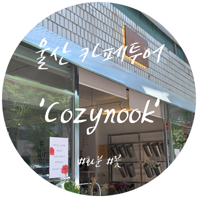 / 울산 성남동 카페 / '코지누크'에서 벌써 2번째 화분 구입.