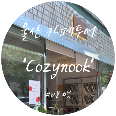  / 울산 성남동 카페 / '코지누크'에서 벌써 2번째 화분 구입.