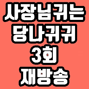 사장님 귀는 당나귀 귀 타이거JK 심영순 3회 재방송 다시보기 방송시간 편성표