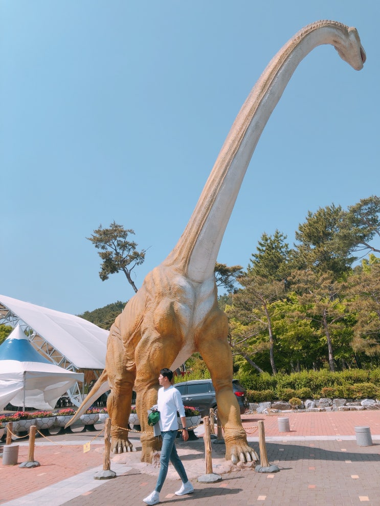  경남 고성 가볼만한곳 공룡 세계 엑스포 입장료 할인, 당황포관광지 신나 