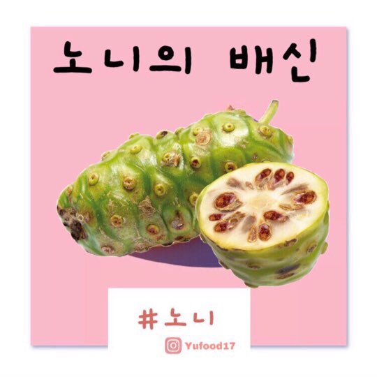  5월 2주차 주간브리핑