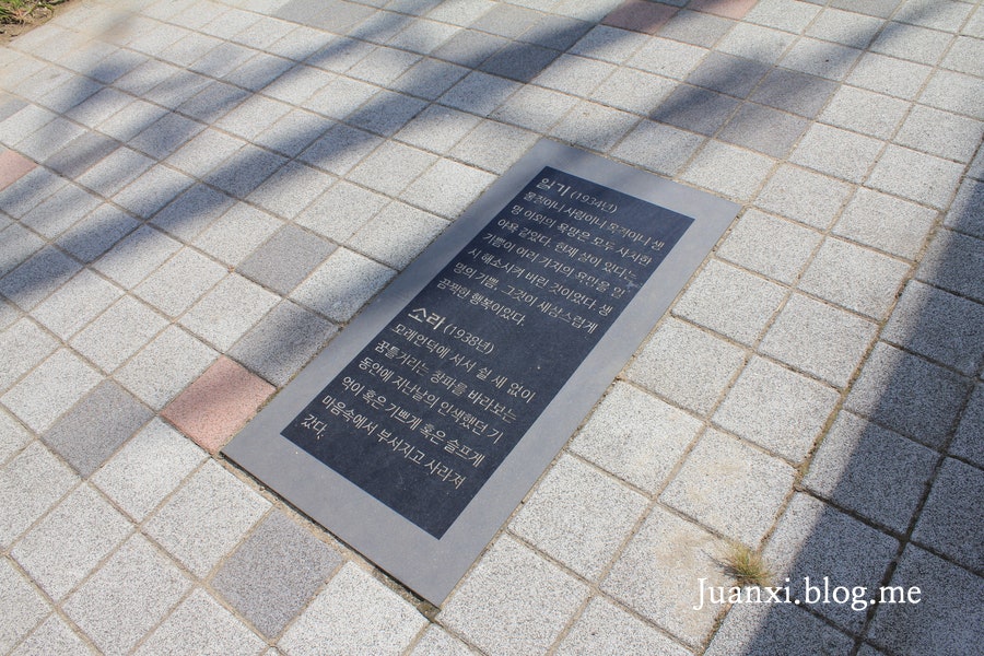 소금별 사진 2
