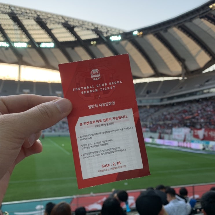  [일상]FC서울 vs 대구FC K리그 경기 직관 다녀왔어요