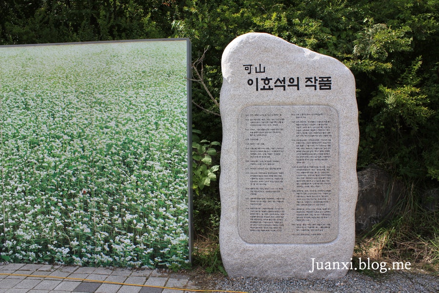 소금별 사진 1