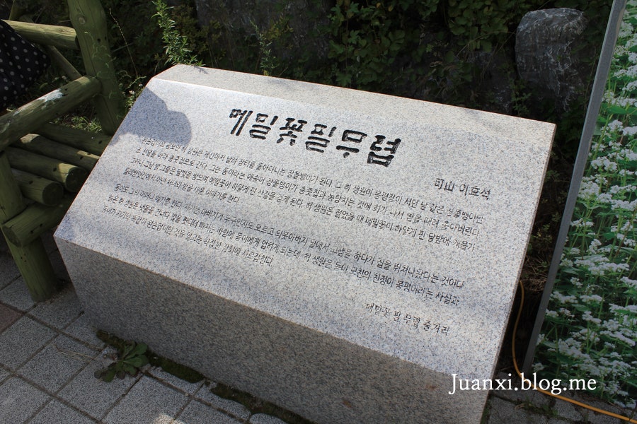 소금별 사진 6