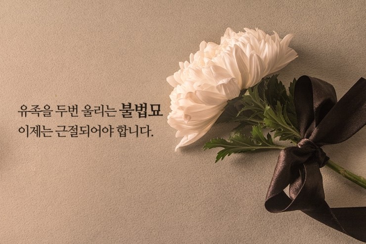  서울추모공원 안치요건