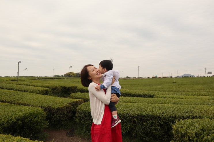  제주도 아이와 가볼만한 곳 , 오설록 티뮤지엄 보단 이니스프리 제주하우스에 한표 (제주살이 2일차)