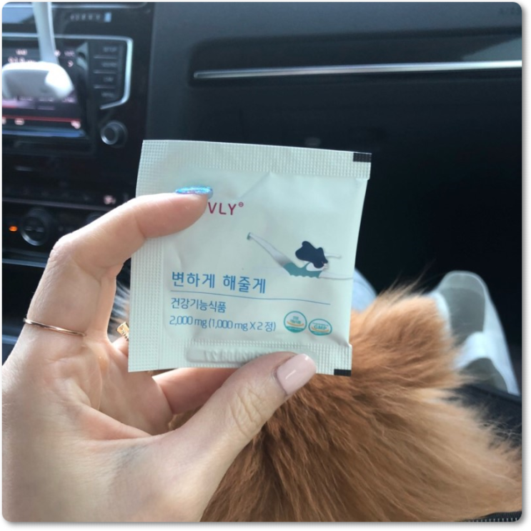 시서스분말가루가 급다이어트에 좋다?! 뇨옵~! 아님