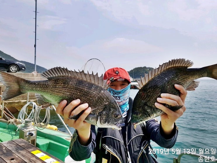  자란만 4짜 떼감성돔 출몰~5월 13일 자란만 북신만 감성돔낚시 송현호 조황