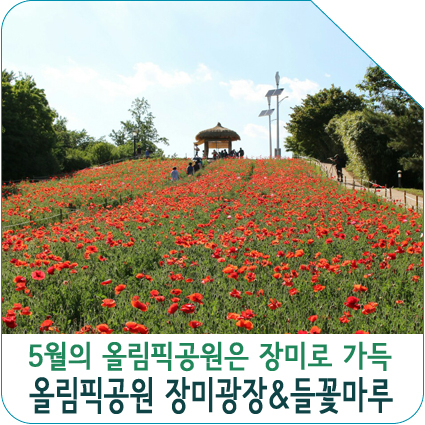  2019 올림픽공원 장미광장이 활짝 피어납니다!