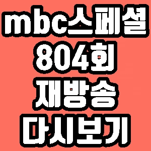 MBC스페셜 슈니발렌 대왕카스테라 치즈등갈비 804회 재방송 다시보기 방송시간 편성표