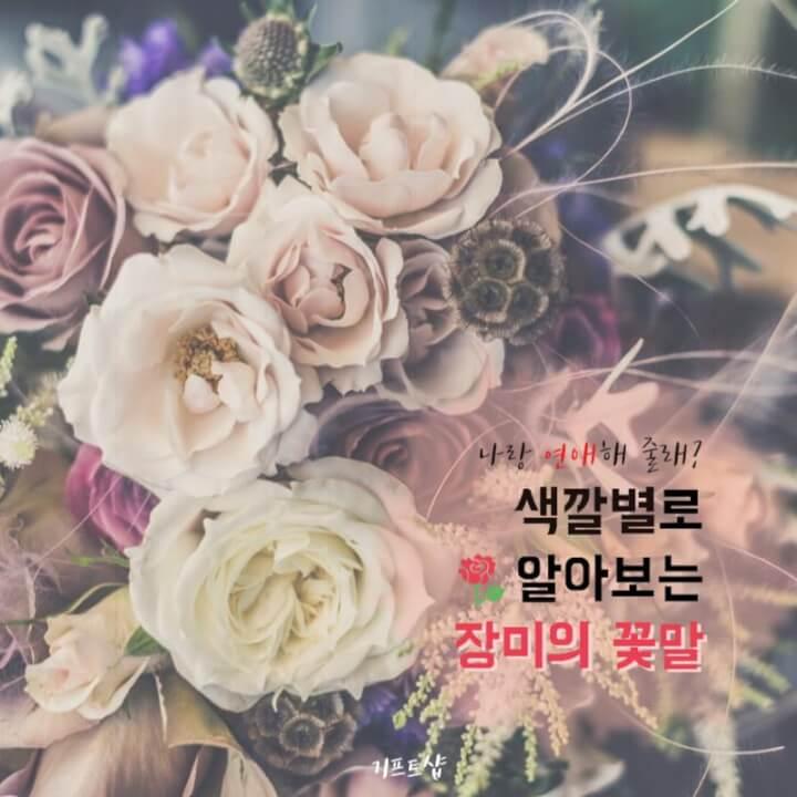  5월14일은 로즈데이~~장미 개수 및 및 색깔별 꽃말