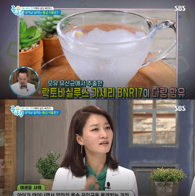  bnr17, 모유유산균에 다량 함유 '다이어트 효과'