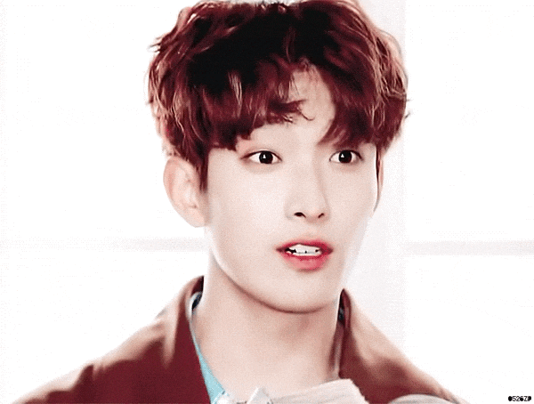  [세븐틴끼리 카톡하기] 캣톡 14. 하늘에 있던 것도 아닌데 떨어진 기분이야